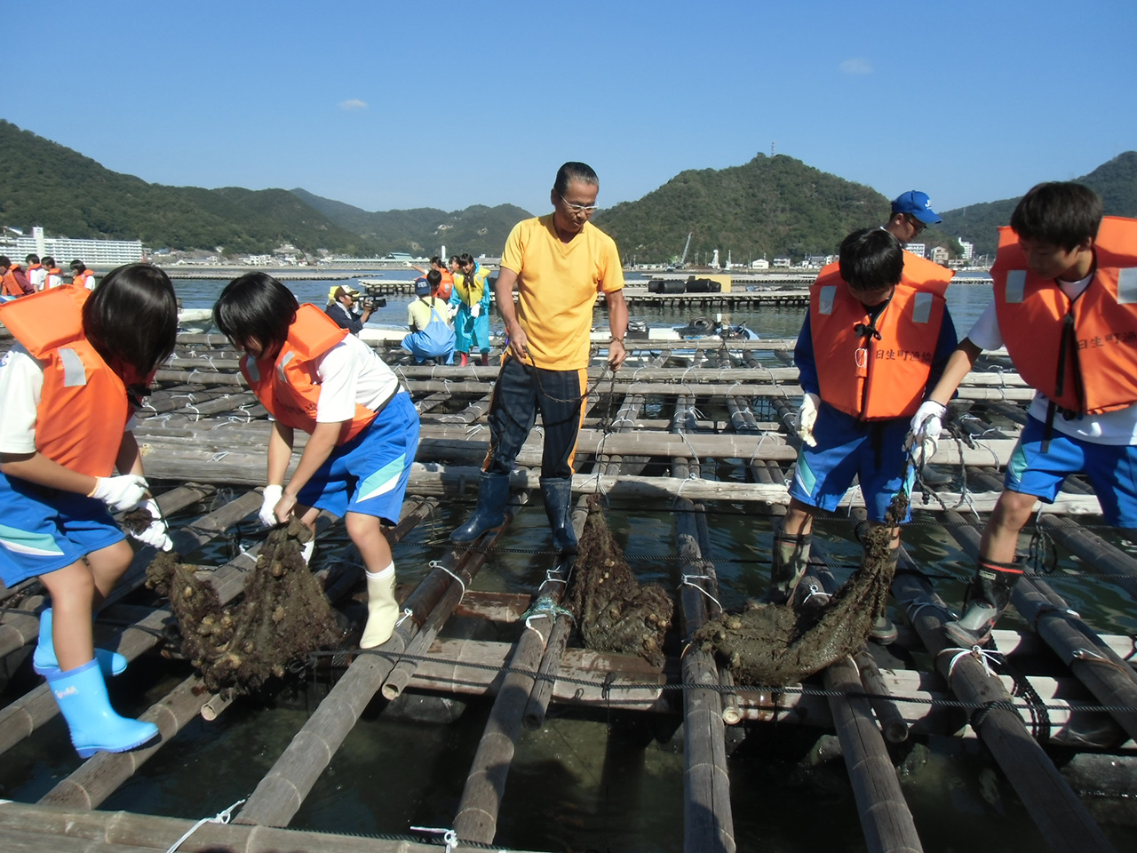 日生町漁業協同組合によるアマモ再生プロジェクト
