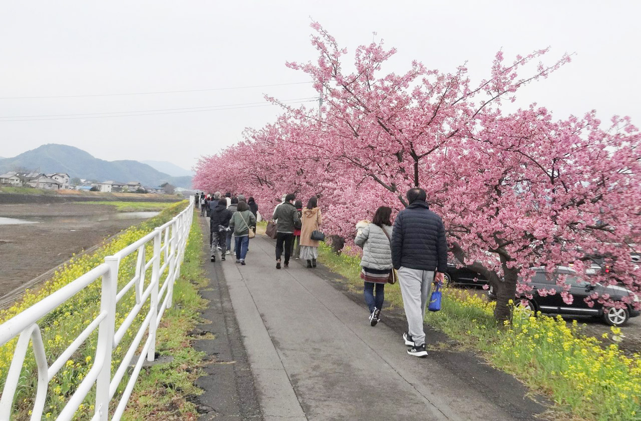 焼津市山の手未来の会