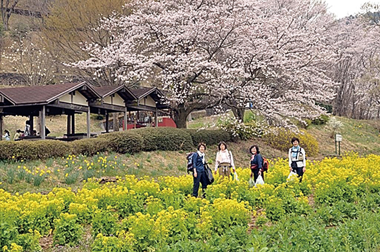 太平山南山麓友の会