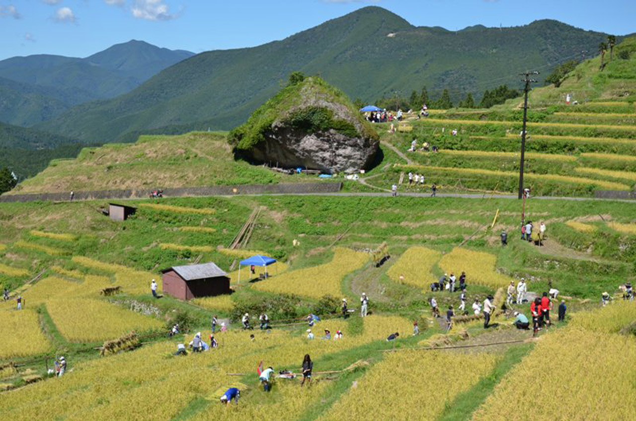 丸山千枚田保存会