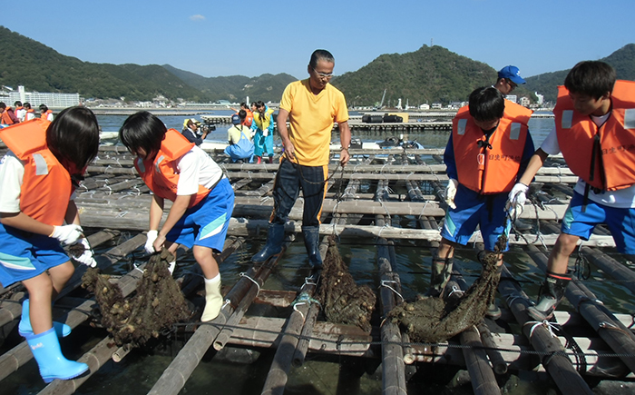 日生町漁協によるアマモ再生プロジェクト